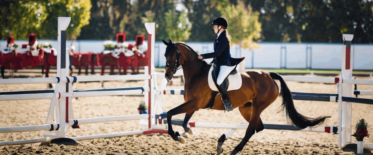 Sport-études équitation : ce que le label FFE exige vraiment
